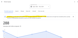Statistici Google Business Profile